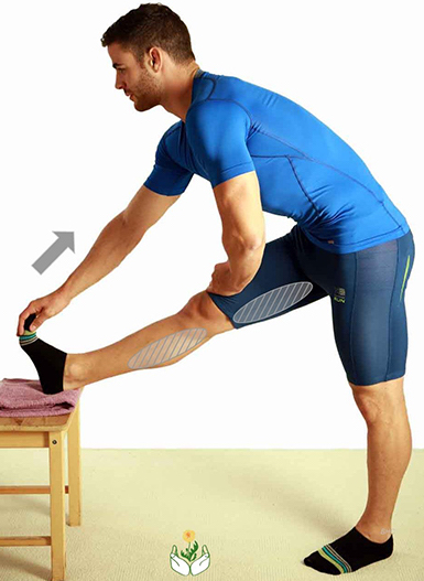 Leg Hamstring And Calf Exercises Chiropractic And Yoga Alignment
